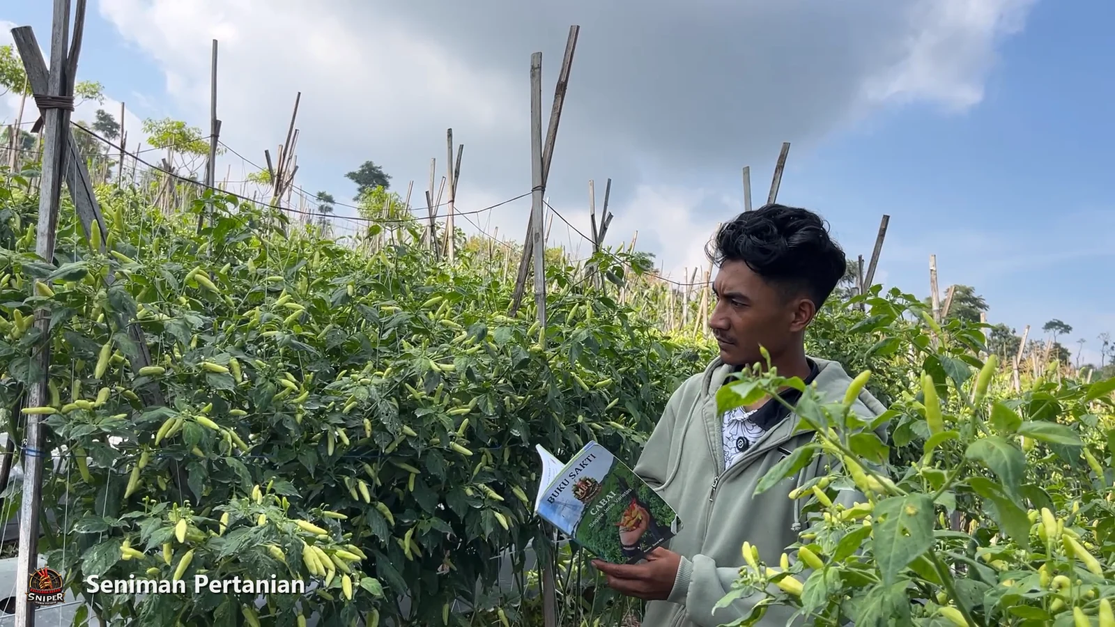 Tomat dan Timun Sudah Panen, Cabainya Masih Berbuah — Inilah Strategi Abdul, Petani Sumedang di Ketinggian 1.000 MDPL