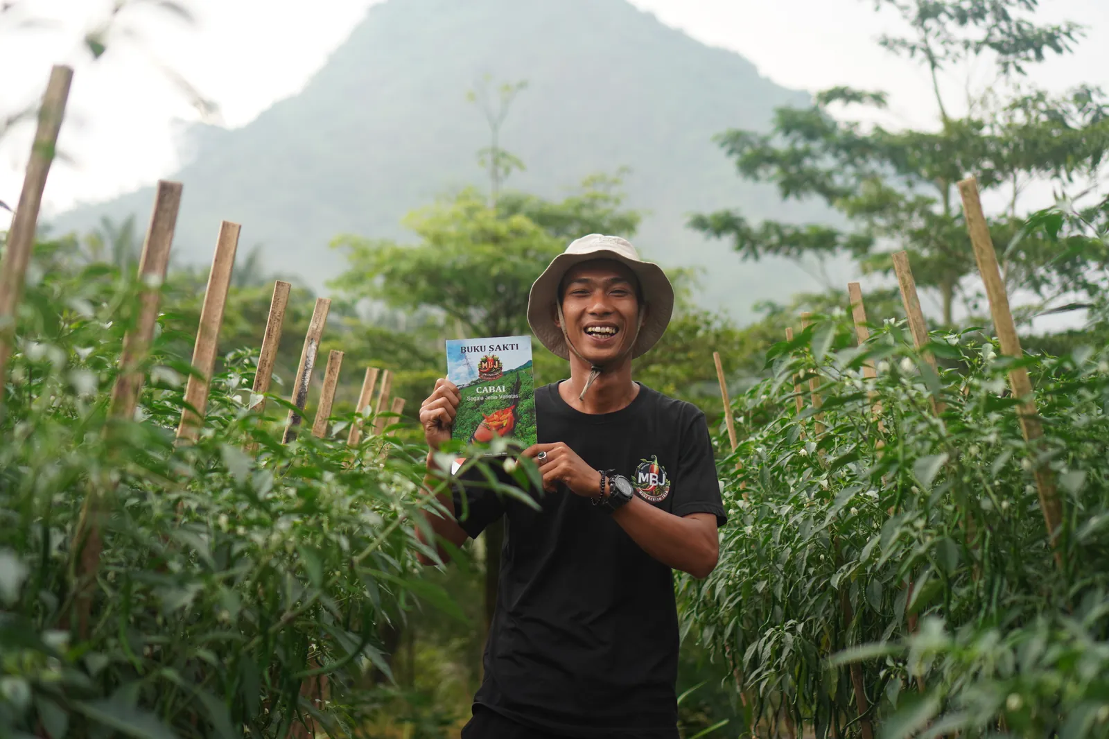 Dari Modal 3 Juta, Mas Rudi Kini Kelola 11.200 Cabai Sniper dan Dilirik Proyek 40 Hektare di Bogor