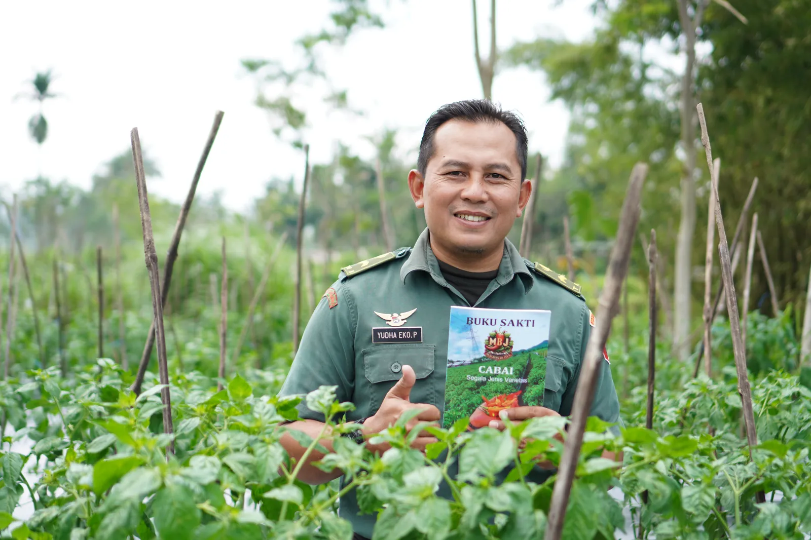 Sukses Kelola 11.000 Batang Cabai, Pak Yuda Wakil Danramil di Jember Buktikan Ketahanan Pangan Lewat Kedisiplinan Militer