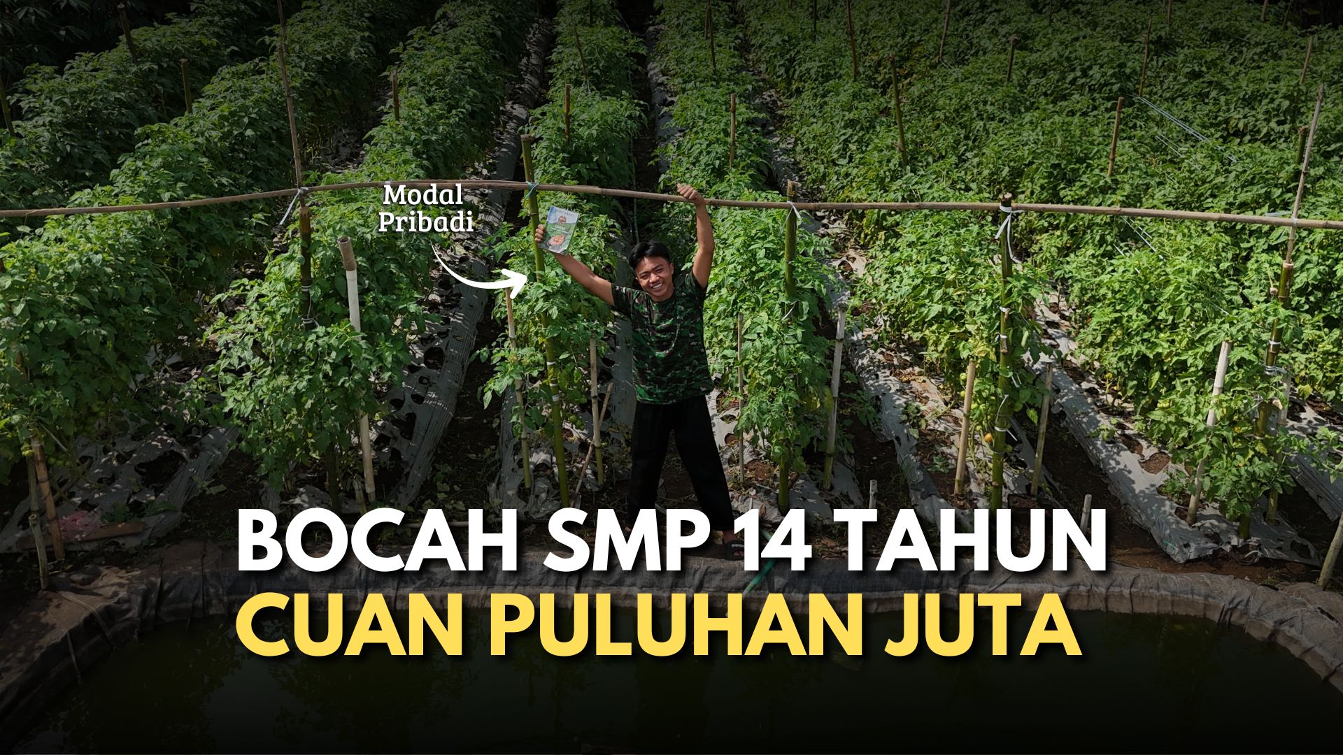 Usia 14 Tahun Terjun di Dunia Pertanian dan Sukses Tanam Tomat di Bandung