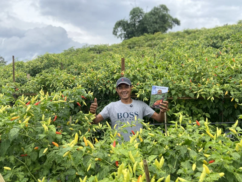 Testimoni Petani: Metode Buku Sakti